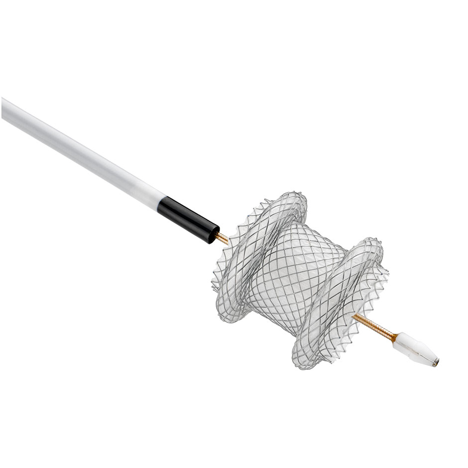 AXIOS&trade; Stent and Electrocautery Enhanced Delivery System