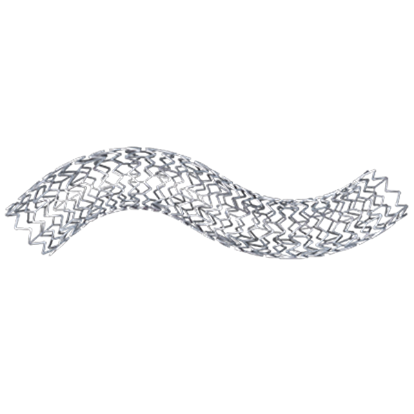 Express LD Iliac and Biliary Premounted Stent System