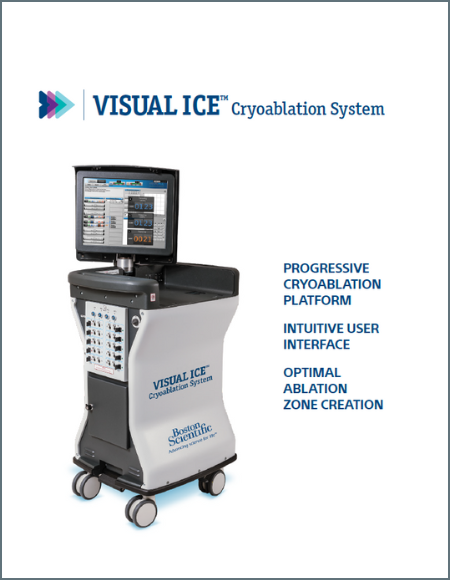 Visual ICE Brochure